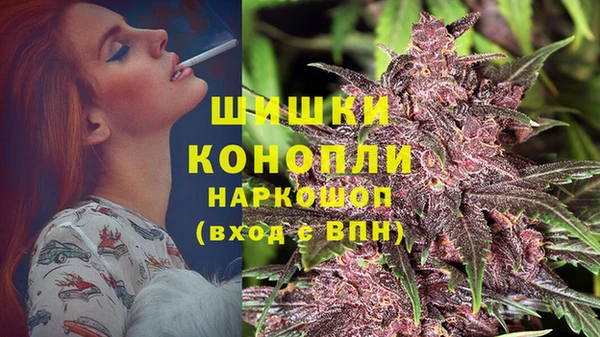 твердый Абаза