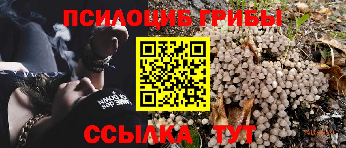 Азов  Галлюциногенные грибы Magic Shrooms  Вход с VPN 