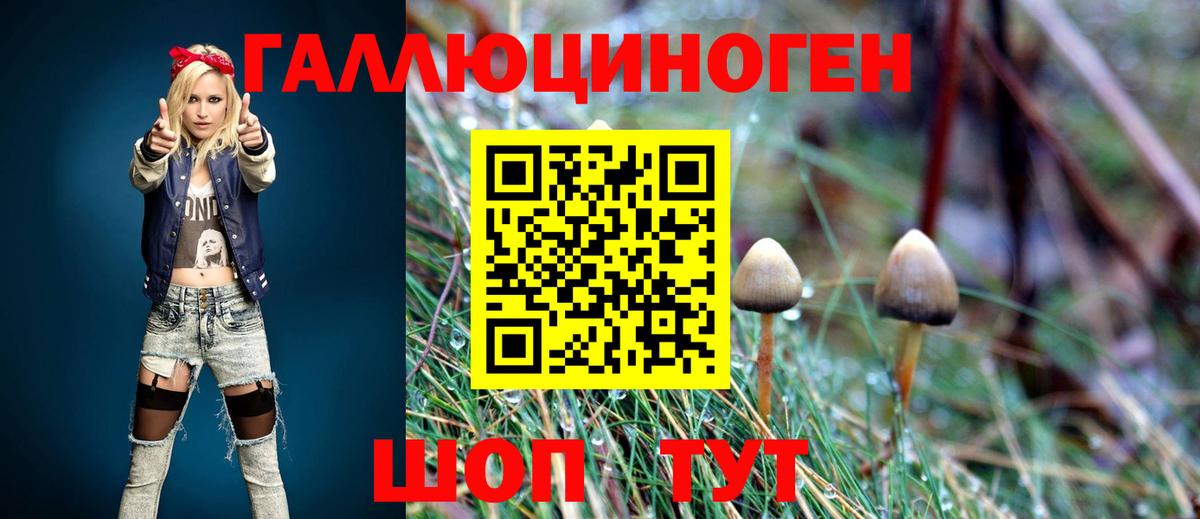 Галлюциногенные грибы прущие грибы Азов